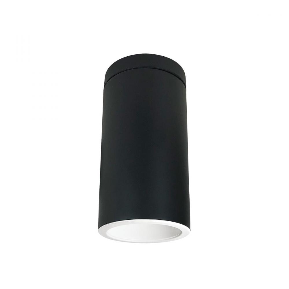 6" Cylinder, Black, Surface Mount, Incandescent, Refl., White