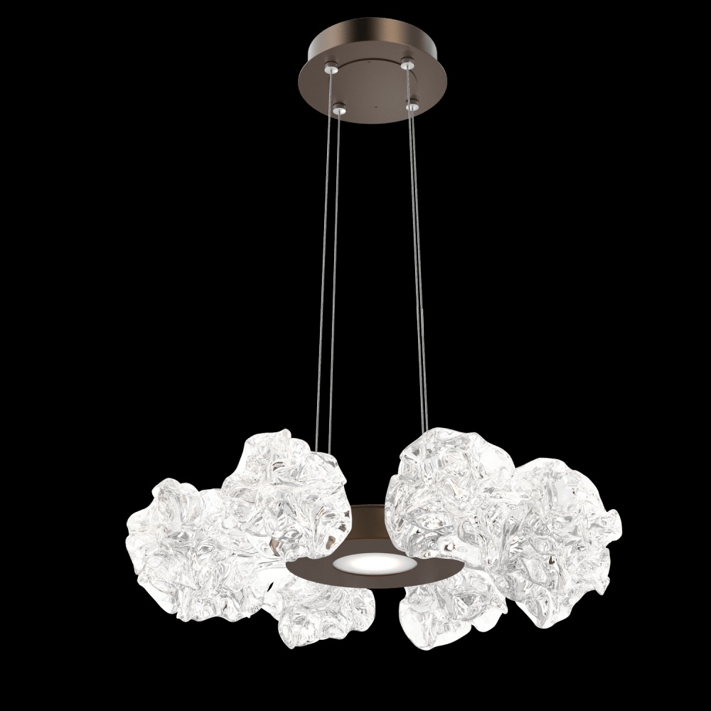 Blossom Radial Ring Chandelier - 24