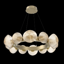 Hammerton CHB0089-36-GB-A-CA1-L3 - Mesa Radial Ring Chandelier