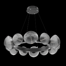 Hammerton CHB0089-36-MB-S-CA1-L1 - Mesa Radial Ring Chandelier