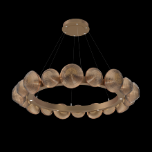 Hammerton CHB0089-48-NB-B-CA1-L1 - Mesa Radial Ring Chandelier