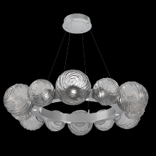 Hammerton CHB0092-39-CS-S-CA1-L1 - Gaia Radial Ring Chandelier