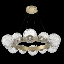 Hammerton CHB0092-39-GB-C-CA1-L1 - Gaia Radial Ring Chandelier