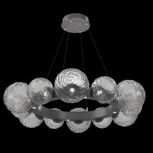 Hammerton CHB0092-39-GP-S-CA1-L1 - Gaia Radial Ring Chandelier