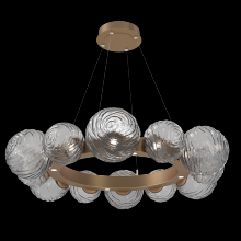 Hammerton CHB0092-39-NB-S-CA1-L1 - Gaia Radial Ring Chandelier