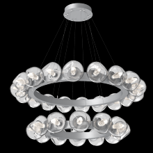 Hammerton CHB0095-2T-CS-GC-CA1-L3 - Luna Radial Ring Chandelier