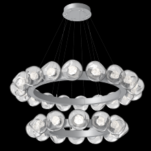 Hammerton CHB0095-2T-CS-ZC-CA1-L3 - Luna Radial Ring Chandelier