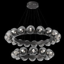 Hammerton CHB0095-2T-GP-GS-CA1-L1 - Luna Radial Ring Chandelier