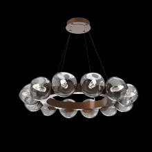 Hammerton CHB0095-36-BB-GS-CA1-L1 - Luna Radial Ring Chandelier