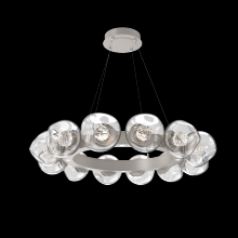 Hammerton CHB0095-36-BS-FC-CA1-L1 - Luna Radial Ring Chandelier