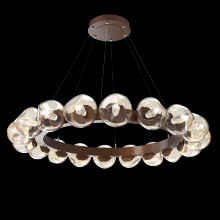 Hammerton CHB0095-48-BB-GA-CA1-L1 - Luna Radial Ring Chandelier