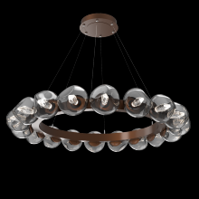 Hammerton CHB0095-48-BB-GS-CA1-L1 - Luna Radial Ring Chandelier