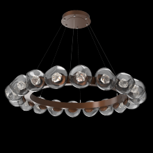 Hammerton CHB0095-48-BB-ZS-CA1-L3 - Luna Radial Ring Chandelier