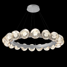 Hammerton CHB0095-48-CS-ZA-CA1-L1 - Luna Radial Ring Chandelier