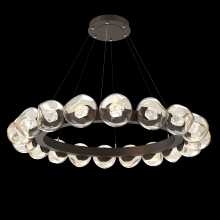 Hammerton CHB0095-48-FB-ZA-CA1-L1 - Luna Radial Ring Chandelier