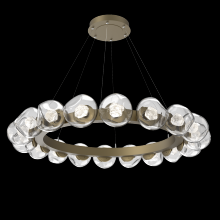 Hammerton CHB0095-48-GB-ZC-CA1-L1 - Luna Radial Ring Chandelier