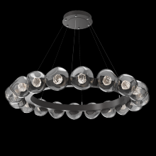 Hammerton CHB0095-48-GP-FS-CA1-L3 - Luna Radial Ring Chandelier