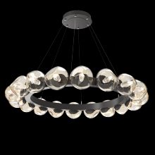 Hammerton CHB0095-48-GP-GA-CA1-L1 - Luna Radial Ring Chandelier