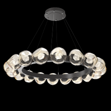 Hammerton CHB0095-48-GP-ZA-CA1-L1 - Luna Radial Ring Chandelier