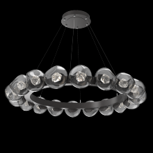 Hammerton CHB0095-48-GP-ZS-CA1-L3 - Luna Radial Ring Chandelier