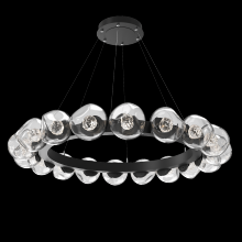 Hammerton CHB0095-48-MB-FC-CA1-L1 - Luna Radial Ring Chandelier