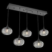 Hammerton PLB0036-05-GP-OS-C01-E2 - Coppa Linear Multi-Pendant-05