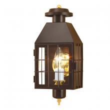 Norwell 1059-BR-CL - American Heritage Outdoor Wall Light - Bronze