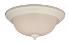 Craftmade X113-TW - Textured White Bowl Flush Mount