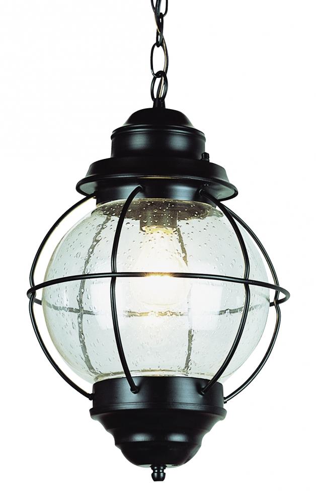 Catalina 19" Hanging Lantern Pendant Light