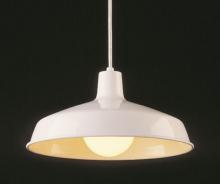 Trans Globe 1100 WH - Sherman 15.5" Pendant