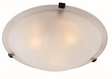 Trans Globe 58700 ROB - Cracka 12" Flush Mount Indoor Ceiling Light