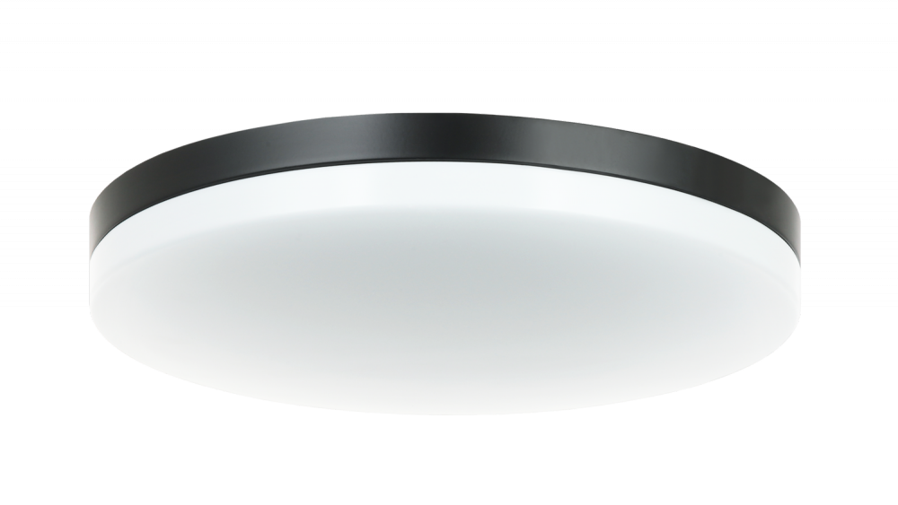 Orion Black Ceiling Mount