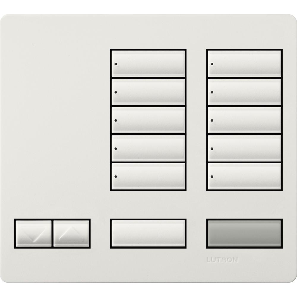 LARGE 10 BUTTON FACEPLATE KIT SW