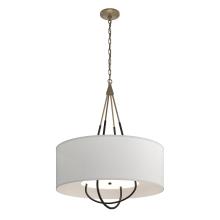 Hubbardton Forge 104230-SKT-84-10-SJ2811 - Loop Pendant