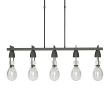 Hubbardton Forge 137810-SKT-LONG-20-ZM0572 - Apothecary Pendant