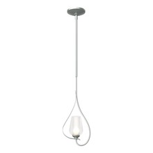 Hubbardton Forge 183050-SKT-MULT-82-ZS0354 - Flora Up Light Mini Pendant