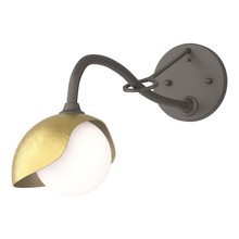 Hubbardton Forge 201376-SKT-07-86-GG0711 - Brooklyn 1-Light Single Shade Long-Arm Sconce