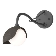 Hubbardton Forge 201376-SKT-10-07-GG0711 - Brooklyn 1-Light Single Shade Long-Arm Sconce