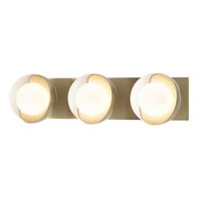 Hubbardton Forge 201378-SKT-86-02-GG0711 - Brooklyn 3-Light Straight Double Shade Bath Sconce